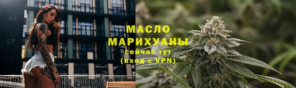 твердый Дмитровск