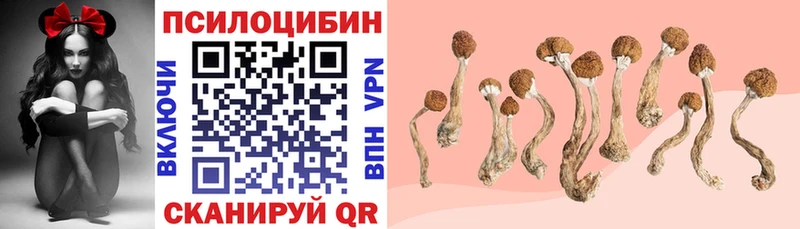 Галлюциногенные грибы Magic Shrooms  blacksprut сайт  Аргун 